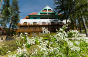 Apartmán Čtyřlístek Lipno, Lipno Nad Vltavou